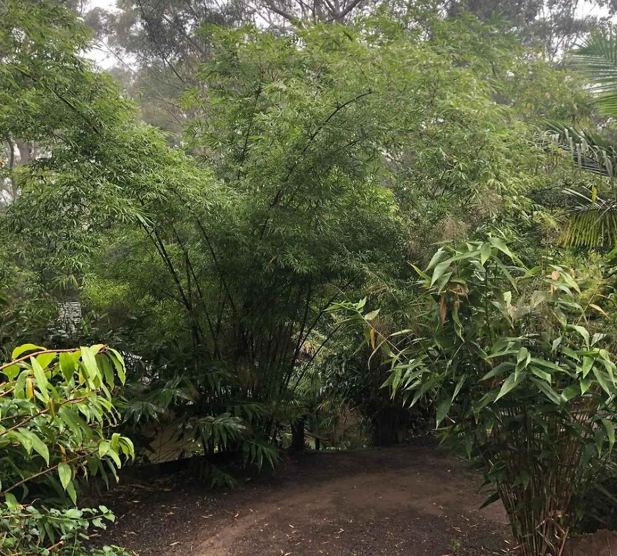 Appartamento Earthly Retreat - Private Noosa Hinterland Getaway Doonan
