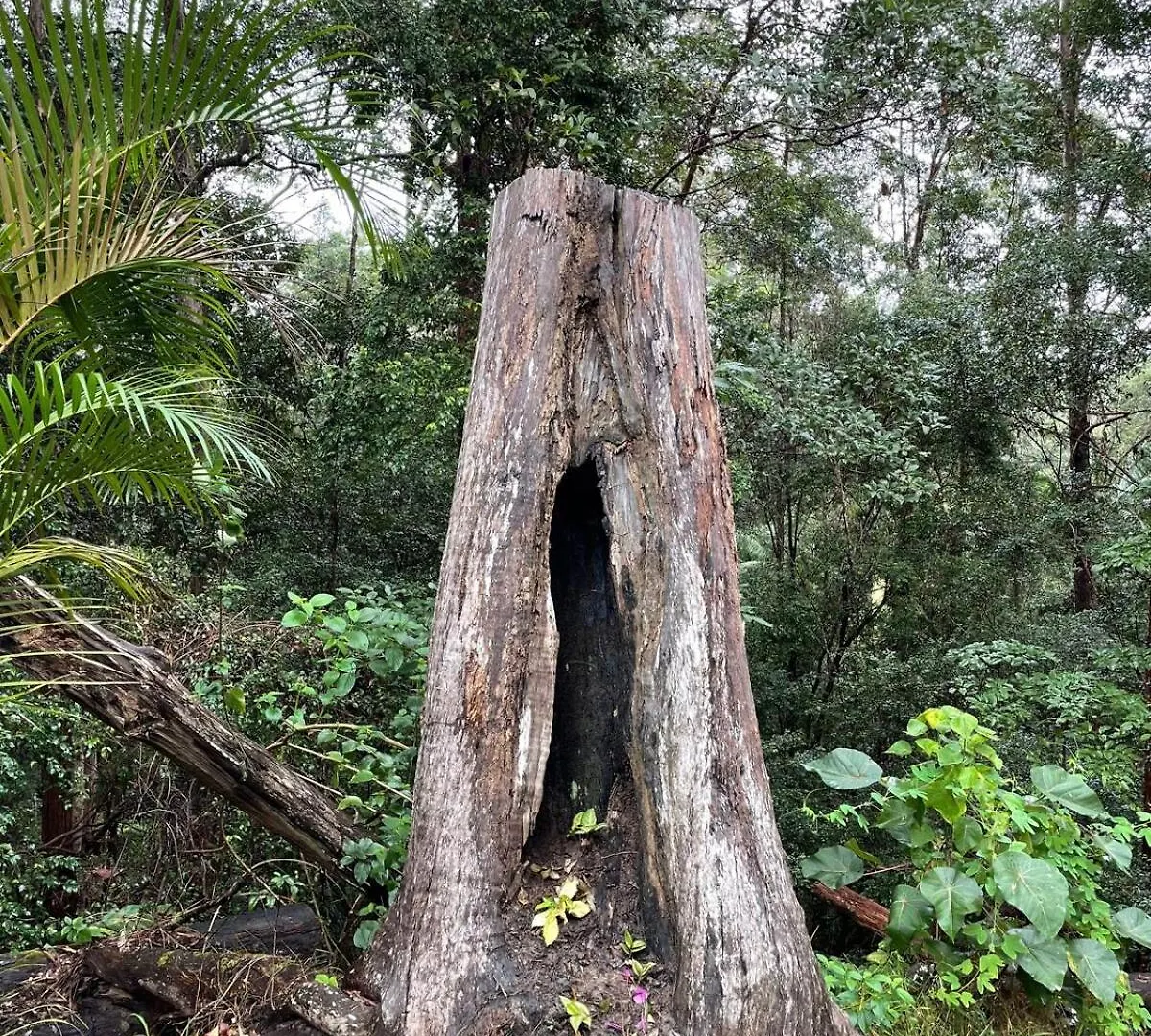 Appartamento Earthly Retreat - Private Noosa Hinterland Getaway Doonan 0*,