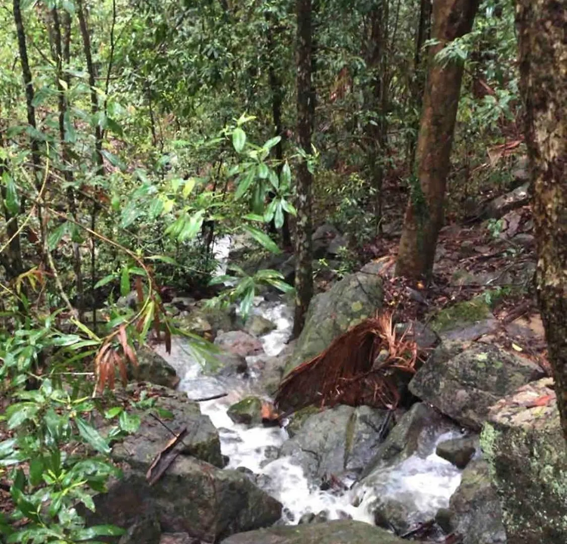 Appartamento Earthly Retreat - Private Noosa Hinterland Getaway Doonan